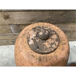 Yorkshire Flower Pots - Terracotta rhubarb forcer (H49cm, D40cm) and ten Sankey terracota plant pots (H17cm, D20cm)