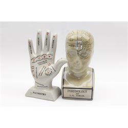 Phrenology head H29cm  and a Palmistry h
