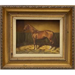 Sue Whigham (British 1957-): Bay Horse in Stable Interior, oil on canvas signed 7.5cm x 23.5cm