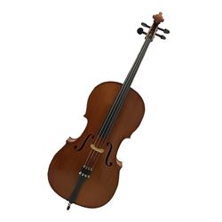 Modern student's three-quarter size cell