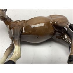 Four Beswick horses, including Exmoor no 1645, Black Beauty foal and two others 