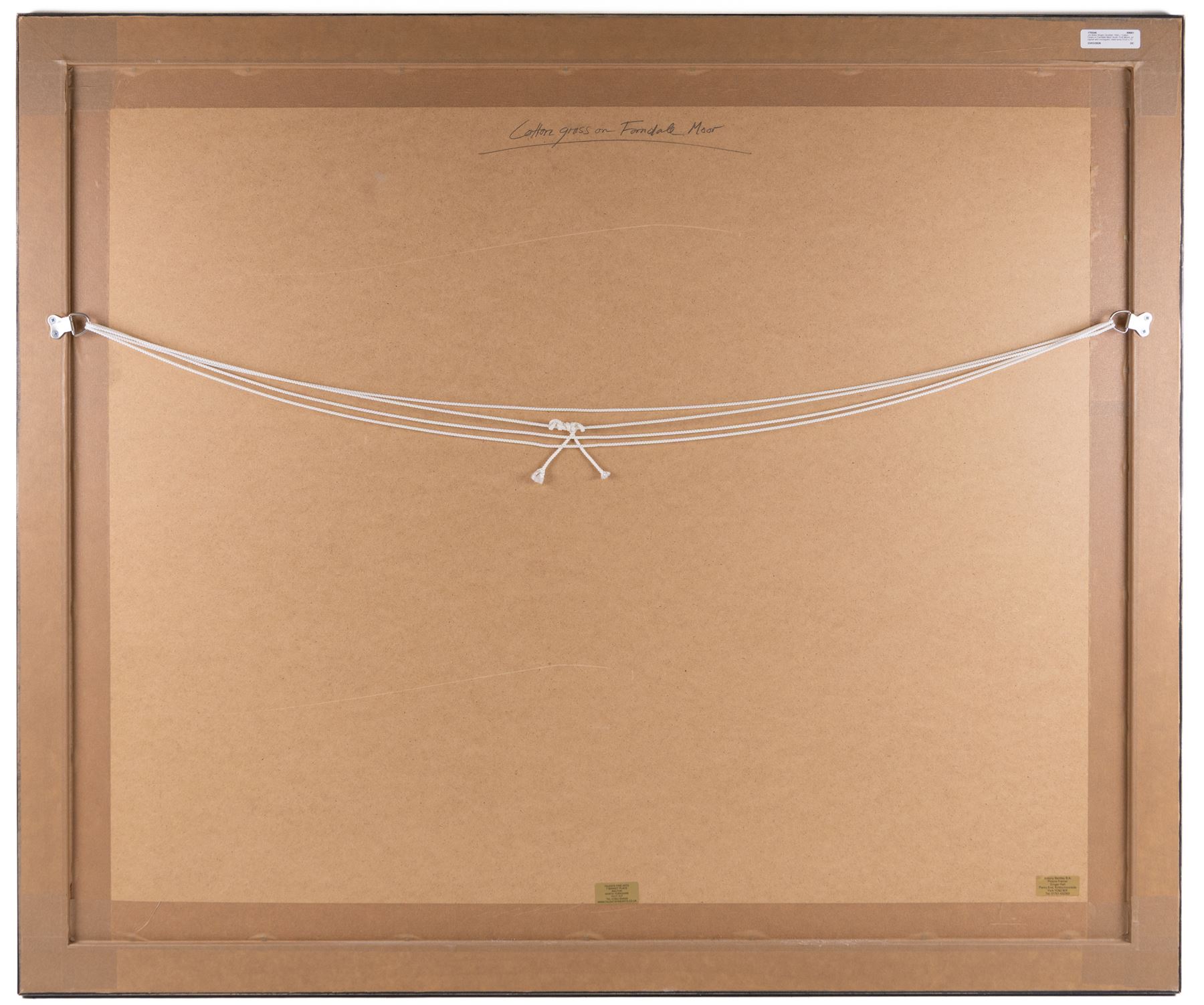 Jim Miller Wright (Scottish 1954-): 'Cotton Grass on Farndale Moor' North York Moors, oil signed with monogram, titled verso 51cm x 72cm 