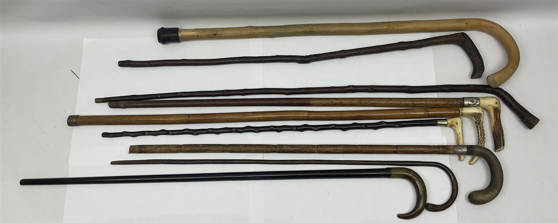 Collection of walking sticks including silver collared example and horn handles, largest L92cm 