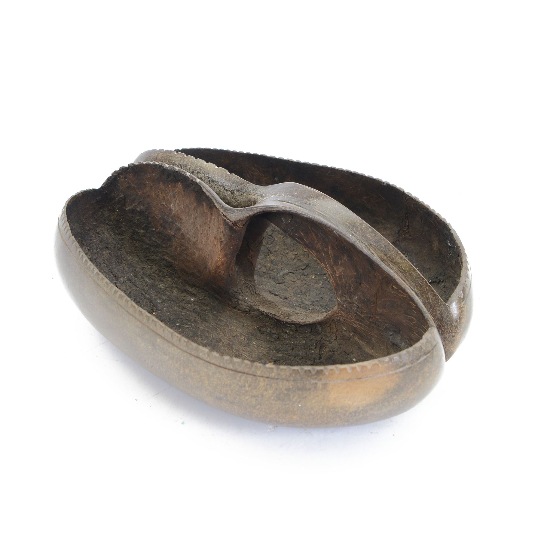 Coco de Mer shell | Fossils, Minerals & Natural Sciences | 128150