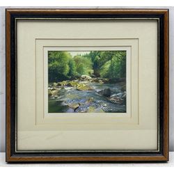 James Duncan McGairy (Northern British 1961-): River Esk at Glaisdale, gouache signed 17cm x 21cm