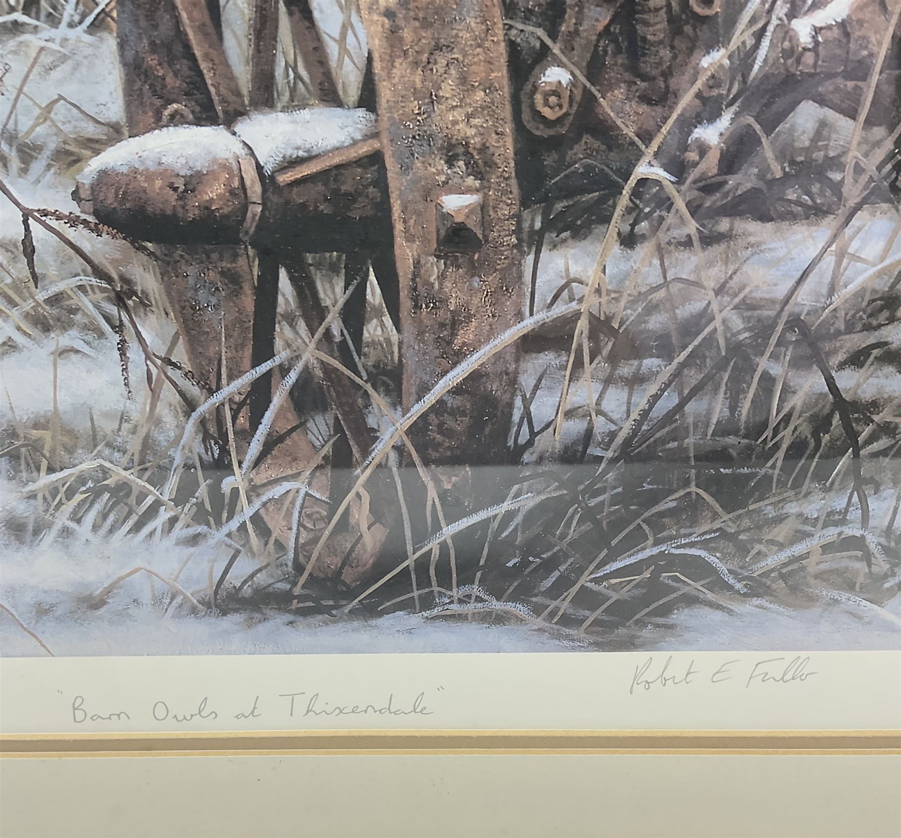 Robert E Fuller (British 1972-): 'Barn Owls at Thixendale', limited edition colour print signed and numbered 61/300 in pencil 55cm x 37cm