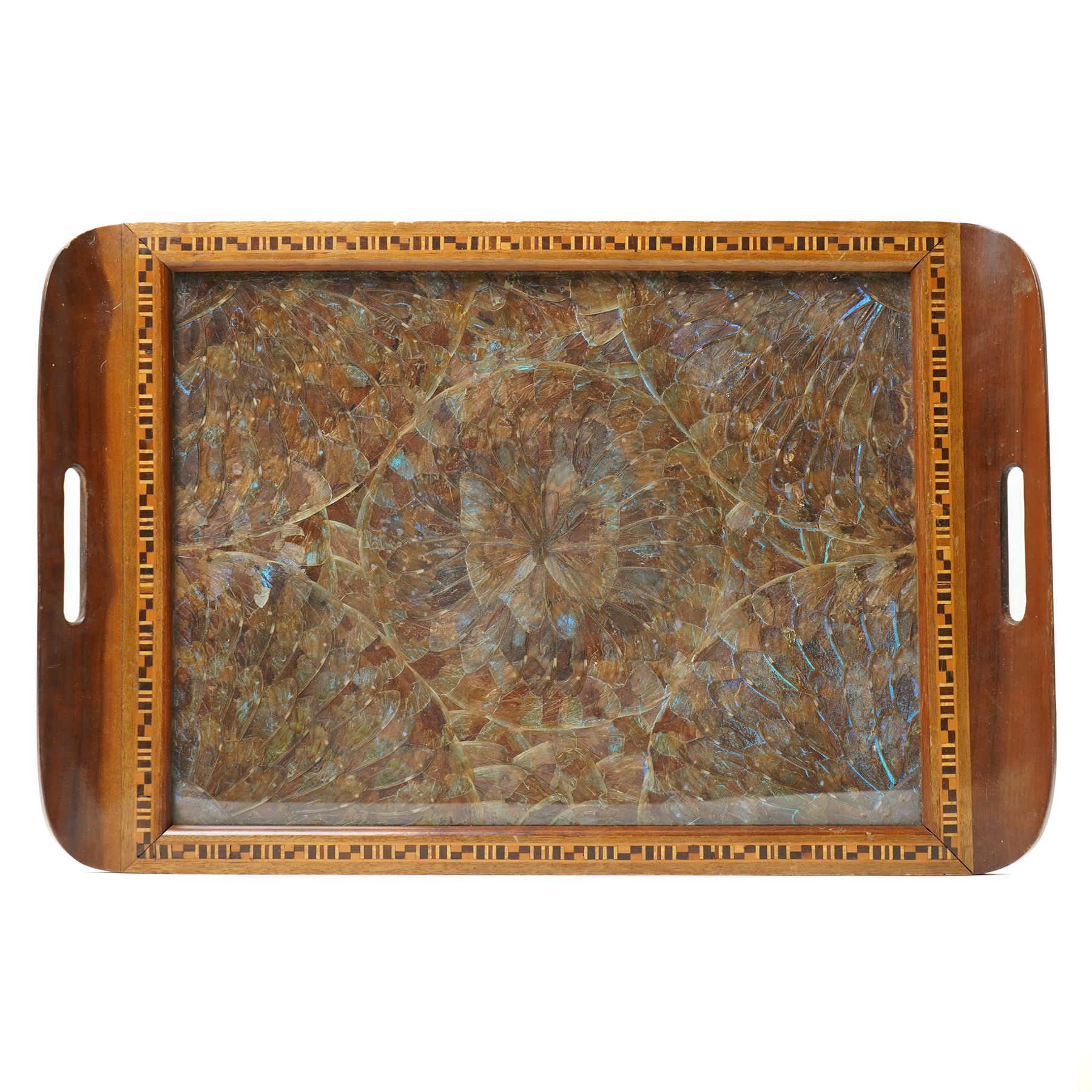 Entomology - Two Victorian South American Butterfly Wing Trays, each tray of rectangular form, protected by glazed panels, max 35cm x 52cm (2)