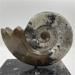 Goninite sculpture, poslised goninite, mounted upon a rectangular marble base with with orthoceras and goniatite inclusions, age: Devonian period, location: Morocco, H20cm