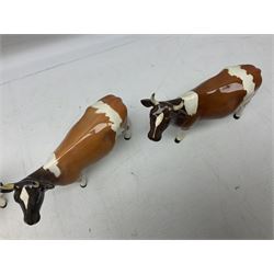 Five Beswick figures of cattle Comprising Ayrshire Bull Ch Whitehill Mandate, no 1454B, three Ayrshire Cow Ch Ickham Bessie, no 1350 and Ayrshire Calf, no 1249B, all with printed marks beneath