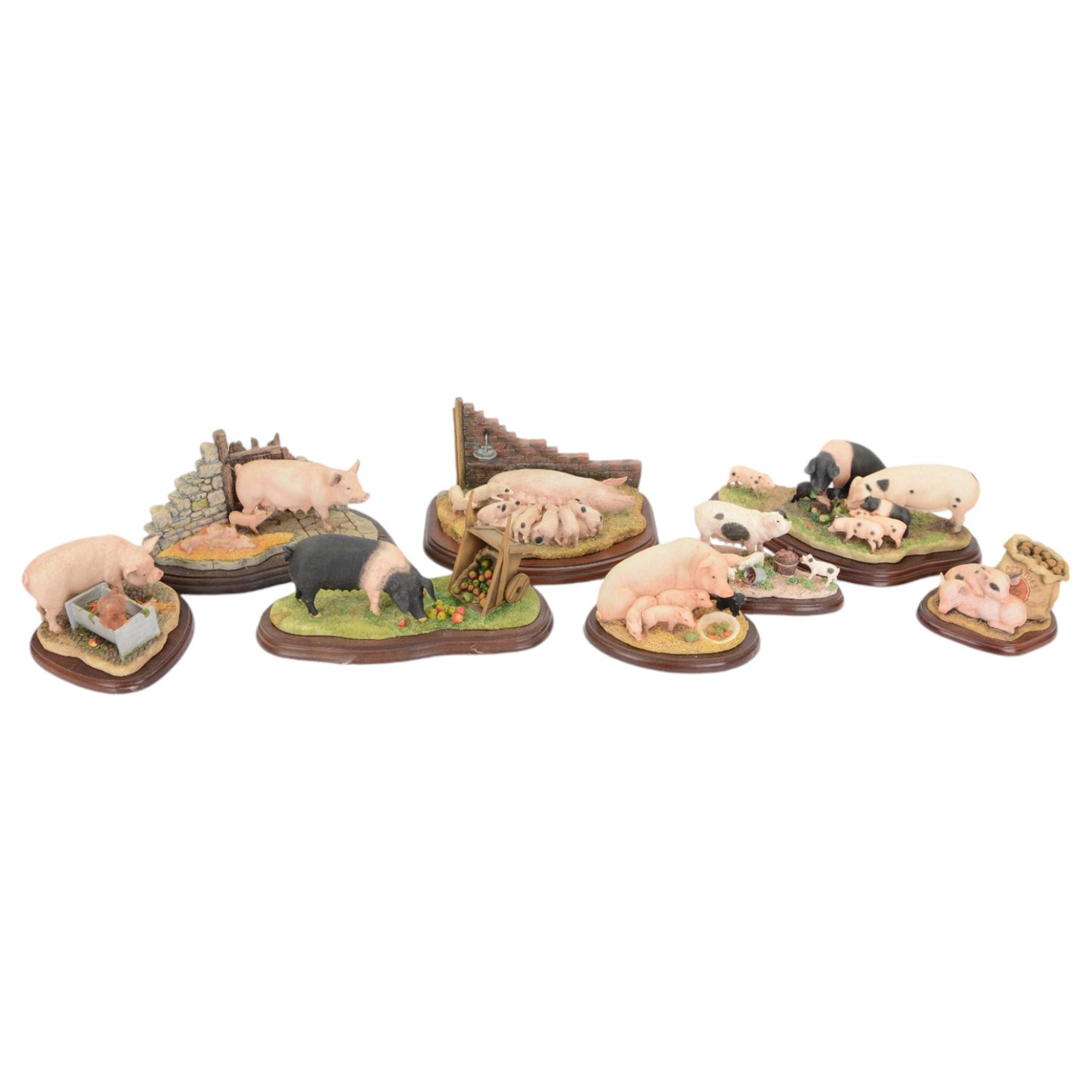 Eight Border Fine Arts pig figures, including Leave Some for Me, model A9792, Upsetting the Apple Cart, model A7935, Hog Heaven, model A1015 etc