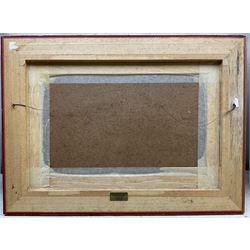 Gladys Maccabe MBE ROI (Northern Irish 1918-2018): Phoenix Park Racecourse - Dublin, gouache and wash signed 21cm x 36cm