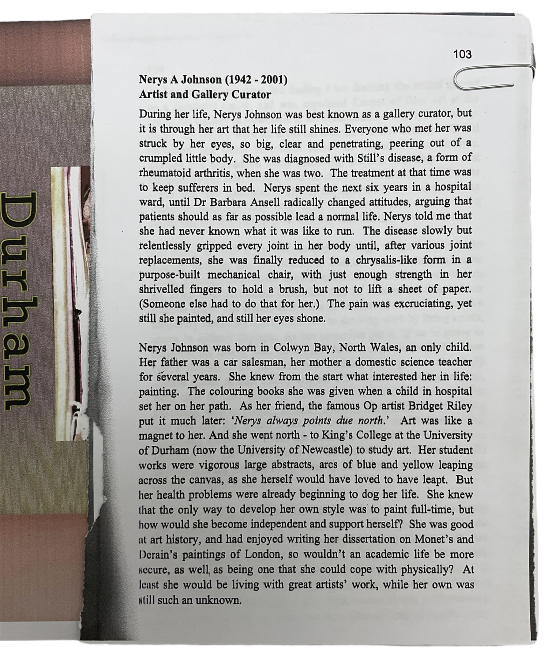 Nerys Ann Johnson (Welsh 1942-2001): Irises, watercolour and ink signed with initials and dated '99, 18cm x 10cm 
