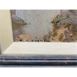 David Jan Curtis (British 1948-): 'Harbour Study - Abersoch' Wales, oil on board signed and dated '91, titled verso with personal dedication from the artist to Shirley Rigg, wife of Jack Rigg 29cm x 39cm 
Provenance: from the collection of the artist Jack Rigg (1927-2023)