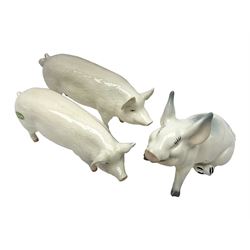 Three Beswick pigs, CH Wall CH Boy 53, 8cm high, CH Wall Queen and seated pig no 839