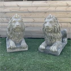 Pair of large cast stone recumbent garden lions, on plinth base  - THIS LOT IS TO BE COLLECTED BY APPOINTMENT FROM DUGGLEBY STORAGE, GREAT HILL, EASTFIELD, SCARBOROUGH, YO11 3TX