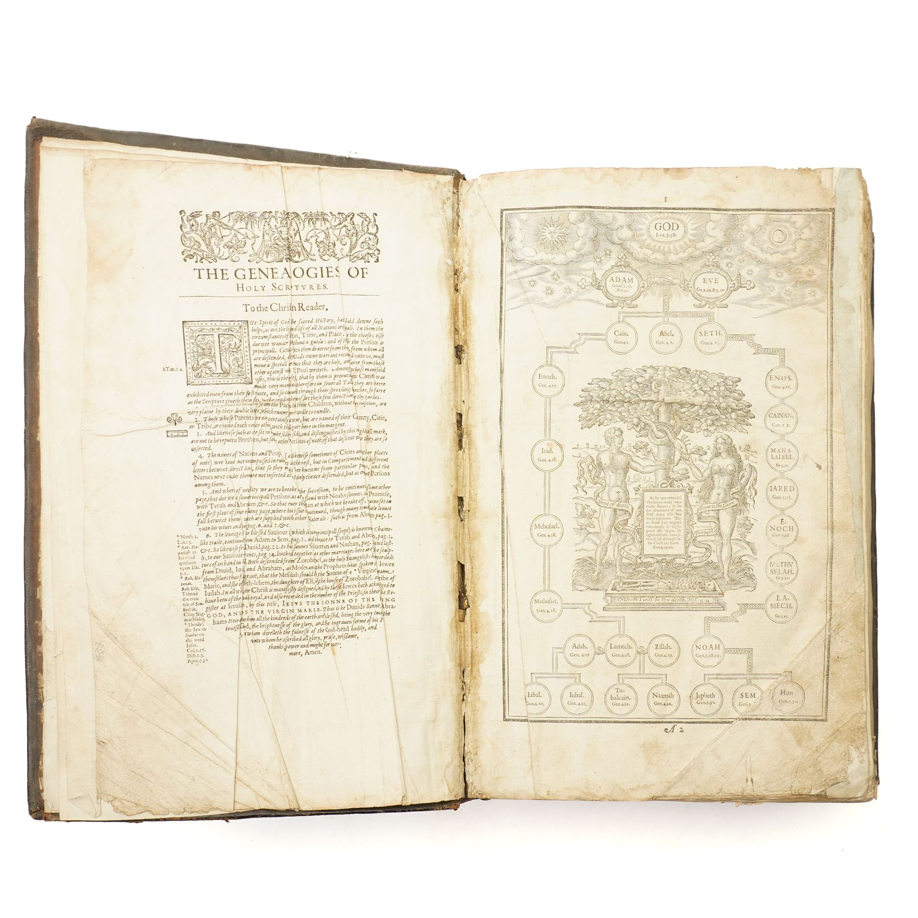 1611 King James Bible: The Great 'He' Bible. 'The Holy Bible Conteyning the Old Testament and the New'. London: Robert Barker, 1611. Folio (44cm × 29cm) Black-letter text in double columns, woodcut initials and ornaments, genealogies of Holy Scripture with engraved Adam and Eve family tree, and the separate engraved title to 'The Newe Testament of our Lord and Saviour Iesus Christ, dated 1611. Bound in full calf with ribbed spine.

First edition, first issue of the King James 'He' Bible, containing the erroneous reading 'and he went into the citie' in Ruth 3:15. Commissioned by King James I and printed by Robert Barker, this monumental translation became the most influential work in the English language, shaping its religious and literary tradition for more than four centuries.