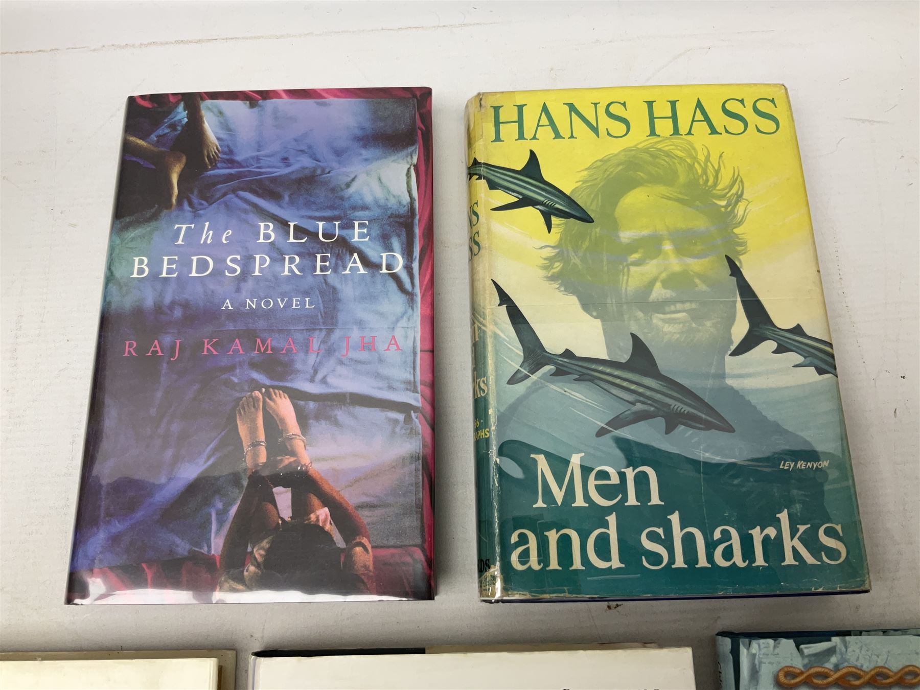 Collection of first edition books, to include John Boyne; The Boy in the Striped Pyjamas, limited edition 910/1000, singed by author, Jasper Fforde; The Eyre Affair, signed by author, Mark Haddon; The Curious Incident of the Dog in the Night-time , D.A.Stern; The Blair Witch Project: A Dossier, etc (16)