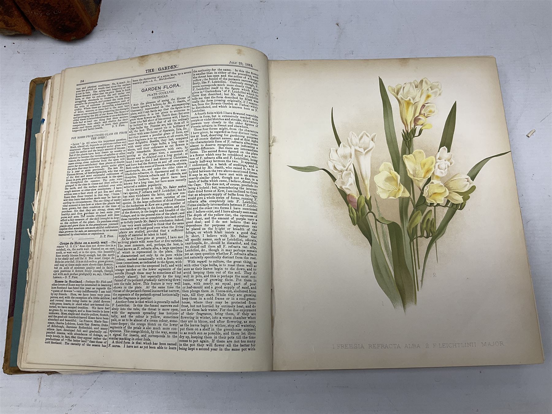 Jones, Thomas Rymer; Cassell's Book of Birds, London, Cassell, Petter & Galpin, volumes I & III, with coloured plates, Hamerton, Peter Gilbert; Landscape, London, Seeley & Co, two copies and The Garden An Illustrated Weekly Journal of Horticulture in all its Branches, London, with coloured plates  