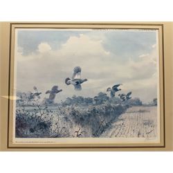 Five limited edition framed coloured prints of shooting interest comprising after C. Stanley Todd game birds taking flight in a mountainous lake landscape no.348/600; after J.C. Harrison game birds in flight over fields no.285/500; after Alan B. Hayman  'A Right and Left?' no.398/850; after Andy Beck 'Pheasant Drive' no.56/350; and after Leo Stans 'Autumn Air'; all signed on the mount; various frames (5)