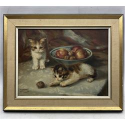 Johannes Wouterus Van Trirum (Dutch 1924-2011): Kittens and a Pesky Walnut, oil on canvas signed 18cm x 38cm 