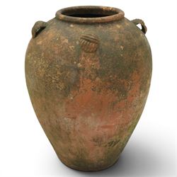 Large 20th century weathered terracotta urn, of ovoid form with four loop handles to shoulder, H61cm
