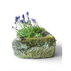 19th century weathered hewn stone planter of rectangular form, planted