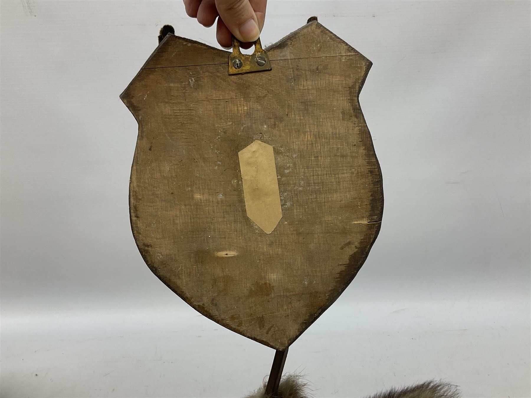 Taxidermy: Red fox mask (Vulpes vulpes), with mouth agape bearing teeth and ears back, mounted upon wooden shield, with brush, shield H24cm
