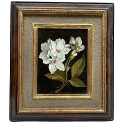 Susie Philipps (British Contemporary): Christmas Helebores, oil on board signed with monogram, artist's studio card verso 15cm x 12cm