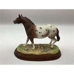 Five Border Fine Arts figure groups, comprising Appaloosa A1463, Shetland Mare & Foal A2690, Exmoor Pony Mare & Foal A3257, Welsh Mountain Pony A2007 and another bay pony 