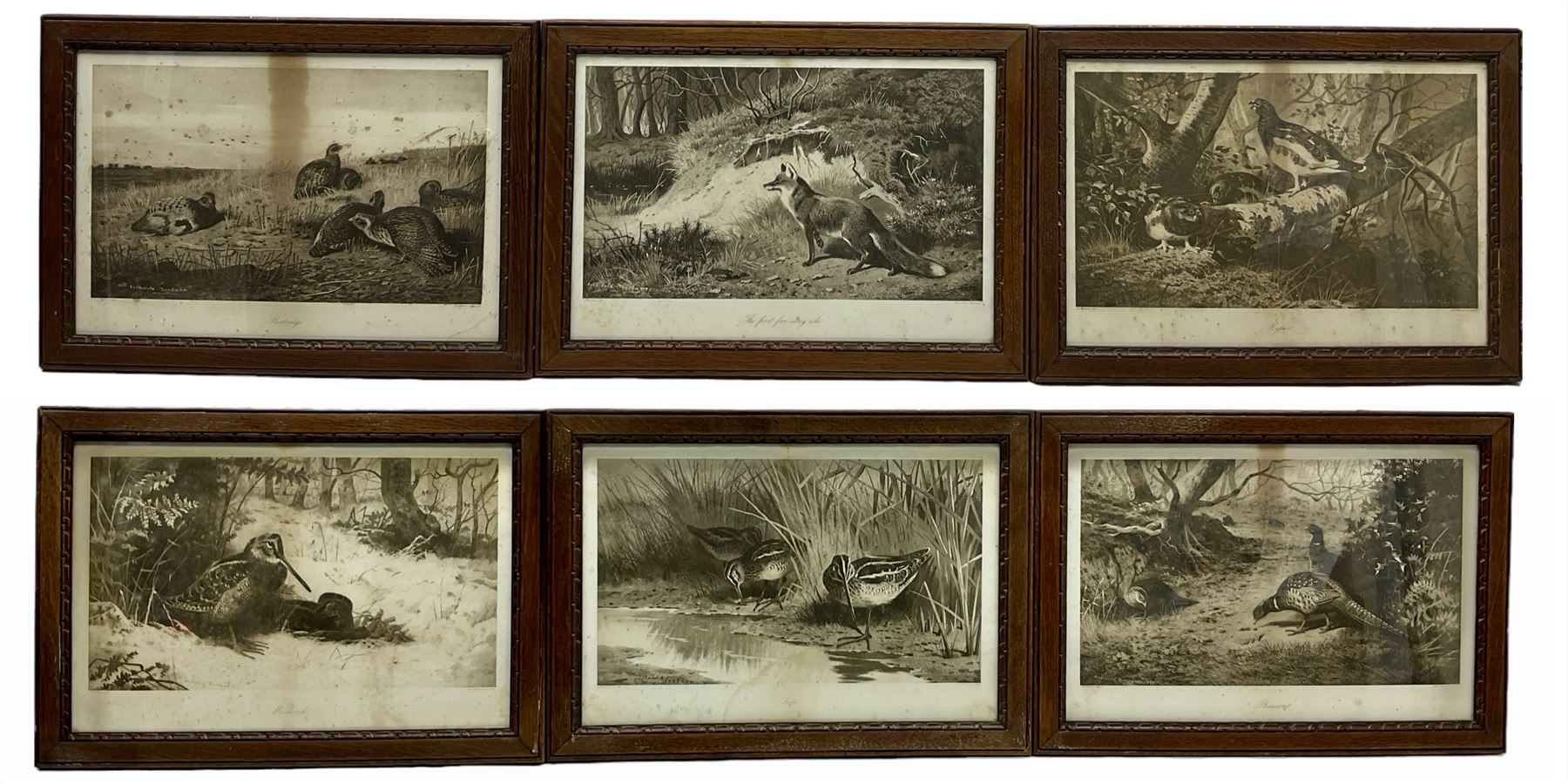 After Archibald Thorburn (Scottish 1860-1935): 'Snipe' 'Partridge' 'Ryper' 'Woodcock' 'Pheasant' 'The First Far-Away Echo' and Grouse, set nine black and white prints pub. Swan Electric Engraving co. c.1896, three signed in pencil 24cm x 41cm (9)