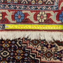 Persian Bijar prayer rug, dark brown ground with all-over Herati design surrounding a rust and pale blue central medallion, cream inner border and rust floral outer border