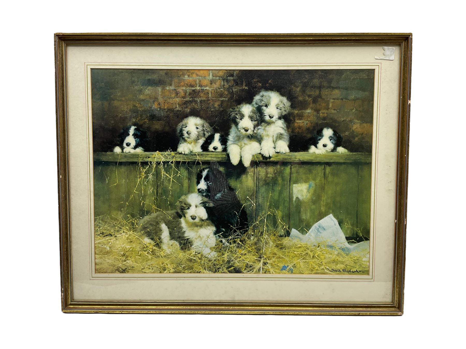David Shepherd (British 1931-): 'The Lunch Break', limited edition colour print signed and numbered 294/850 in pencil with Fine Art Guild blind stamp 54cm x 73cm and another Shepherd print of Puppies (2)