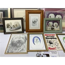 Old English Sheepdog Interest - large collection of prints, photographs and other art related to Sheepdogs 