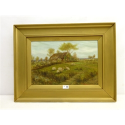  William Henderson of Whitby (British 1844-1904): 'Sheep grazing at Water Ark Farm Goathland', oil on canvas signed, titled verso 29cm x 44cm Notes: Friars Close is now on the site of Water Ark farm   