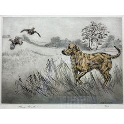 Henry Wilkinson (British 1921-2011): 'Yellow Labrador', coloured drypoint etching signed and numbered 54/150 in pencil 25cm x 34cm