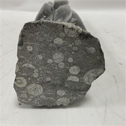 Orthoceras fossil tower, age: Devonian period, location: Morocco, H33cm