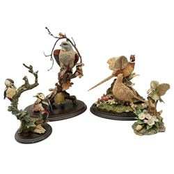 Country Artists figures, comprising of Windhover H43cm, pair of woodpeckers, H26.5cm and a pheasant and hen H26cm, together with Kowa goldcrest figure H29cm.