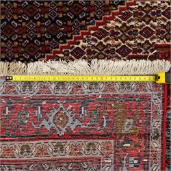 Persian Ardakan rug, featuring central elongated diamond medallion with serrated edges on a repeat boteh field, framed by triple guard borders with red floral scroll design