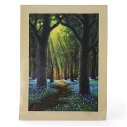 Danny Flynn (British 1958-): digital print of for a 90s TV show that never came to air featuring Danny Flynn in the centre and Arthur C Clarke looking on, two limited edition signed prints of a bluebell wood, two further signed limited edition prints of birds in surreal landscapes and a collection of postcards, three prints framed, largest H34cm

Notes: This item is from the private collection of Arthur C. Clarke's brother.