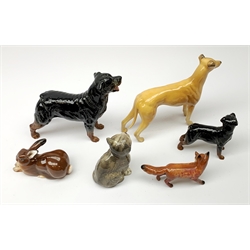A group of Beswick figures, comprising a Rottweiler, and Rottweiler puppy, Grey Hound marked CH Jovial Roger, grey kitten marked 1886, fox, and a Royal Doulton figure of a Rabbit, HN2592. 