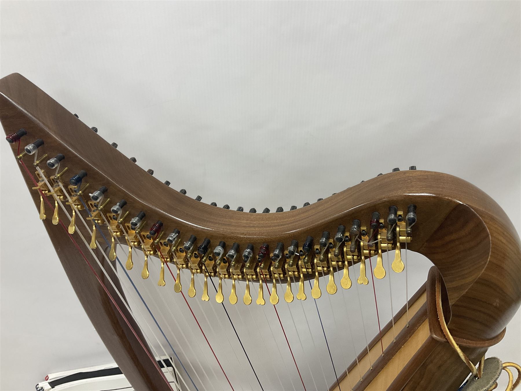 Contemporary 24 string Celtic or Irish Folk Harp with an Ash soundboard and 24 sharpening keys, with three music books, tutorial and DVD In a soft carrying case with tuning key 
