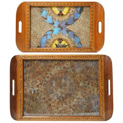 Entomology - Two Victorian South American Butterfly Wing Trays, each tray of rectangular f...