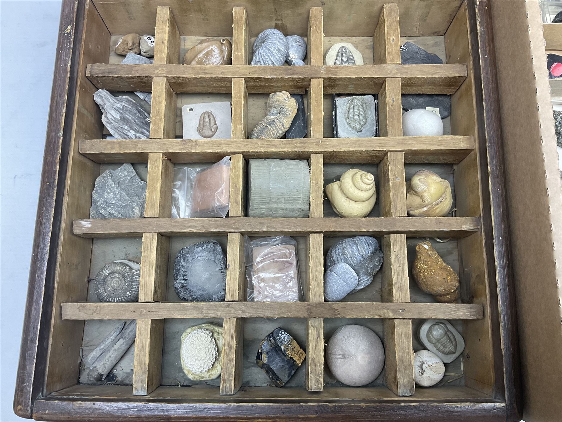 Natural history; Collection of rock and mineral specimens to include muscovite, sphalerite zinc blende, breccia, migmatite, fluorite etc, housed in a wood box, some named 