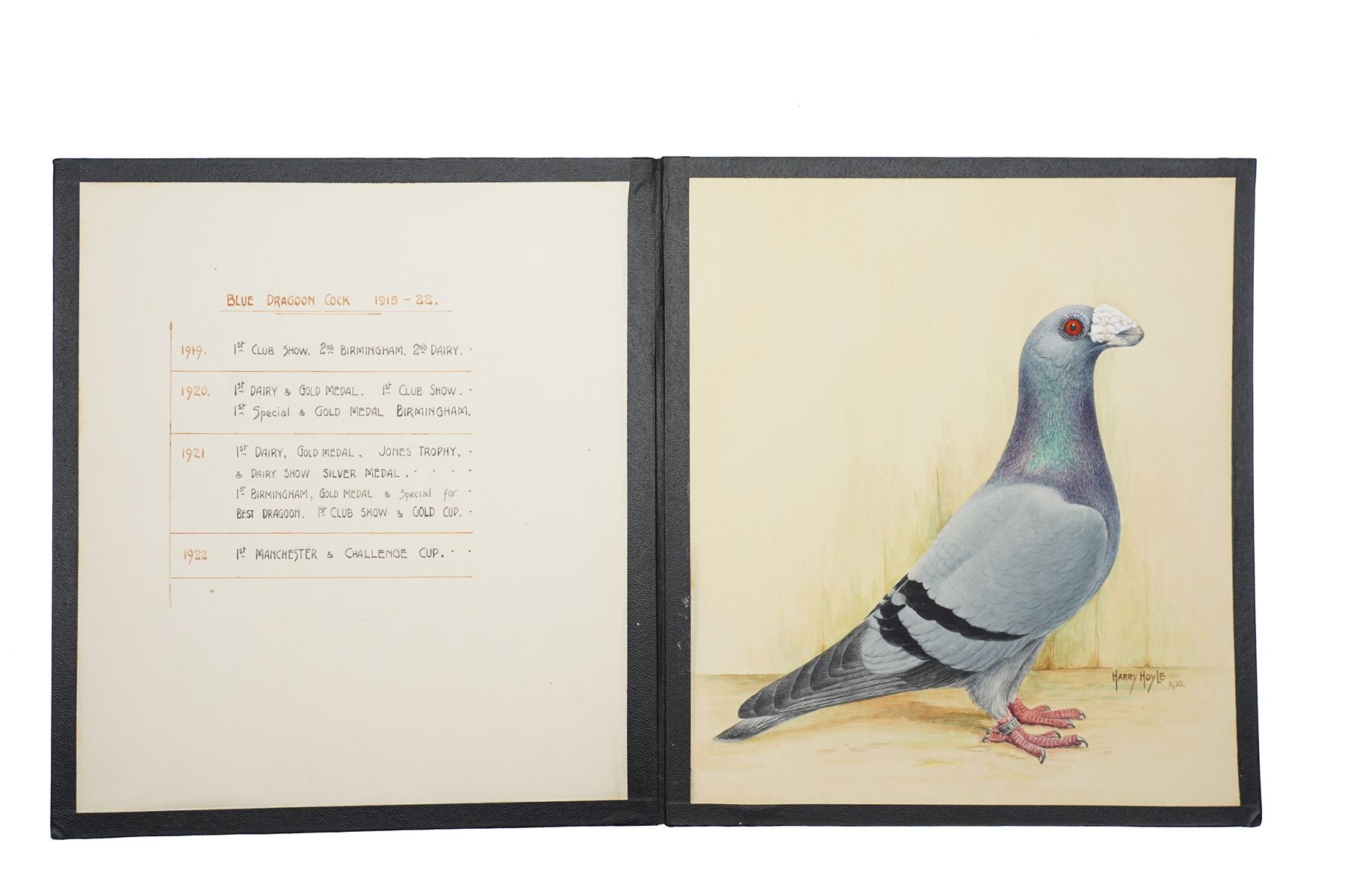Harry Hoyle (Early 20th Century): Racing Pigeons - 'Blue Dragoon Cock 06-30' 'Blue Dragoon Hen 33-3330' and 'Blue Dragoon Cock 1918-22', set of three pencil and watercolours heightened with white, each signed and dated 1933 or 1934, accompanied with the winning history of each pigeon, each approx. 20.5cm x 18cm (3)