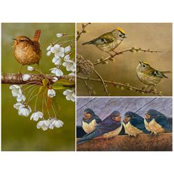 Robert E Fuller (British 1972-): 'Swallow Fledglings' 'Goldcrest on Larch' and 'Wren on Cherry Blossom', three limited edition colour prints signed and numbered 127/850 , 211/850 & 207/850, respectively, in pencil max 30cm x 21cm (3)