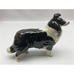 Three Beswick dog figures, comprising CH Talavera Romulus, Hajubah of Davlen and a Boarder Collie, together with three Royal Doulton dog figures  