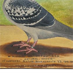 C H Wadsworth (British Early 20th century): Portrait of Champion Racing Pigeons - Messers Watton 'National Winner' & 'Shrubb', pair oils on board signed inscribed and dated 1910 & 1912, respectively 31cm x 41cm (2)
Notes: inscribed 'National Winner - 1st Northern section Bournemouth YB 1908' & 'Shrubb - 1st Banbury YD also SPL photo in oils Featherstone & Purston HS season 1912'