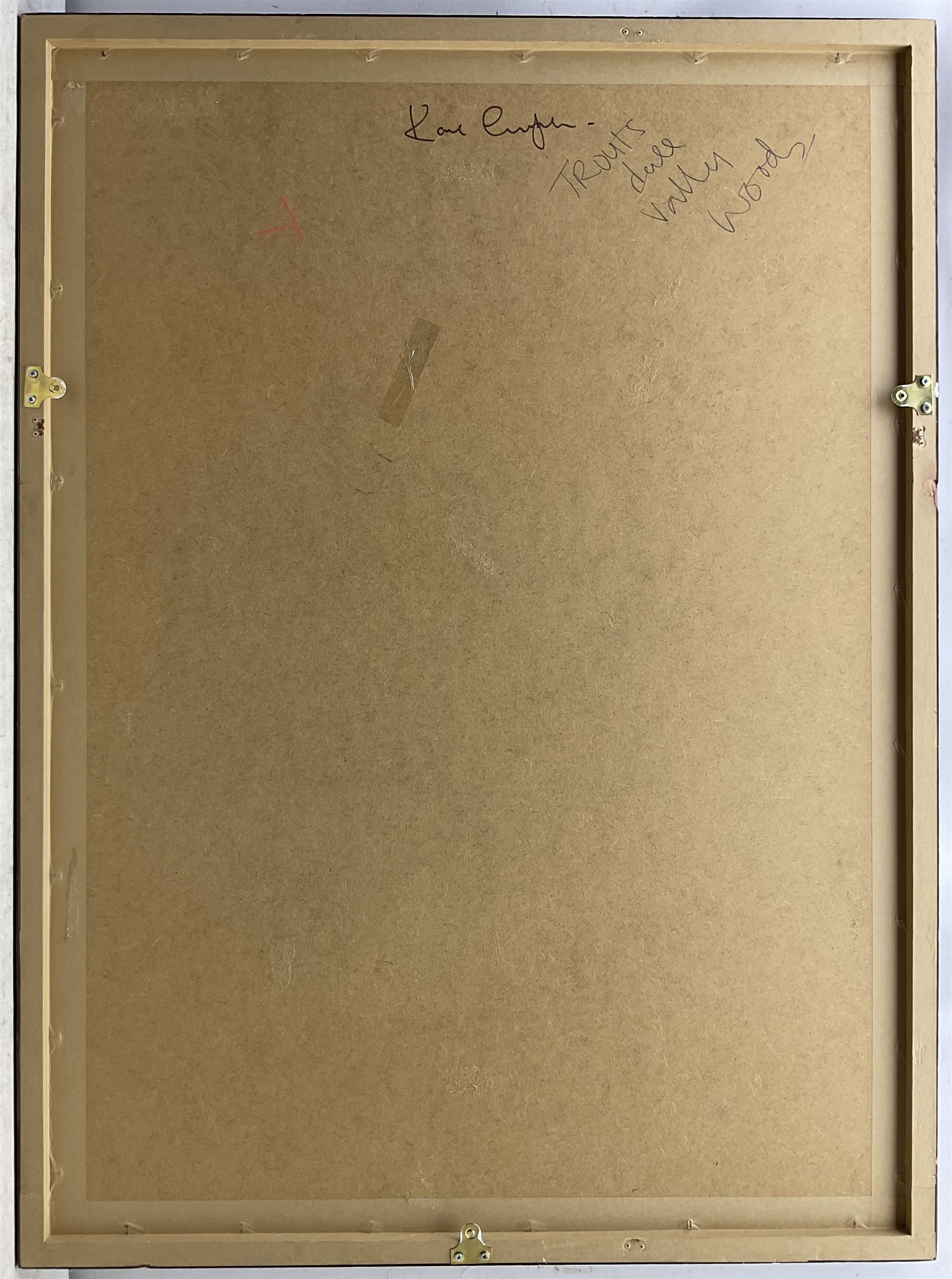 Kane Cunningham (British 1961-): 'Troutsdale Valley Woods', watercolour signed and dated '06, titled verso 105cm x 75cm