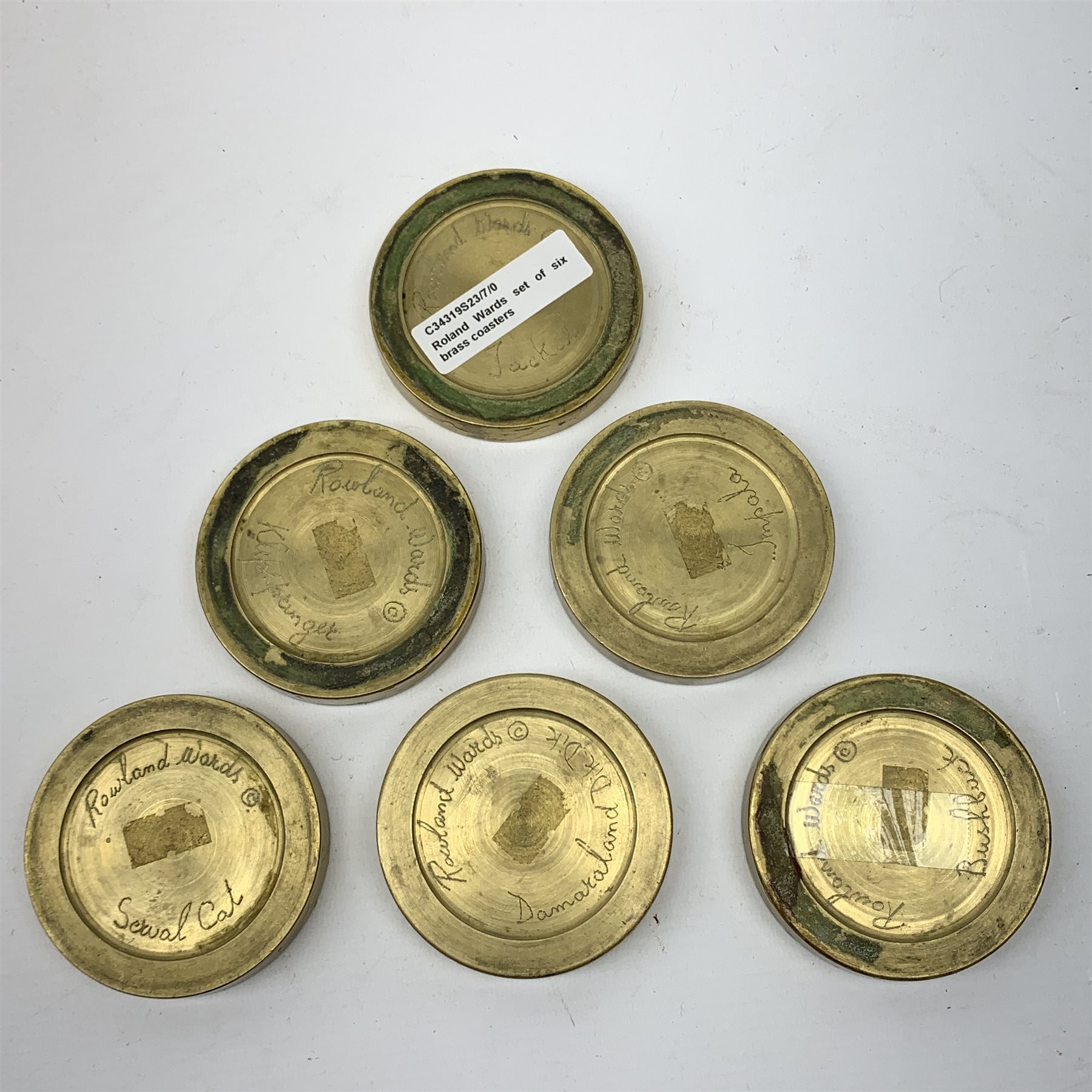 Rowland Ward (British Taxidermist: 1848–1912), set of six African Animal brass paw print coasters, comprising Jackal, Klipspringer, Damaraland Dik Dik, Bushbuck, Impala and Serval Cat, signed beneath, D8cm   