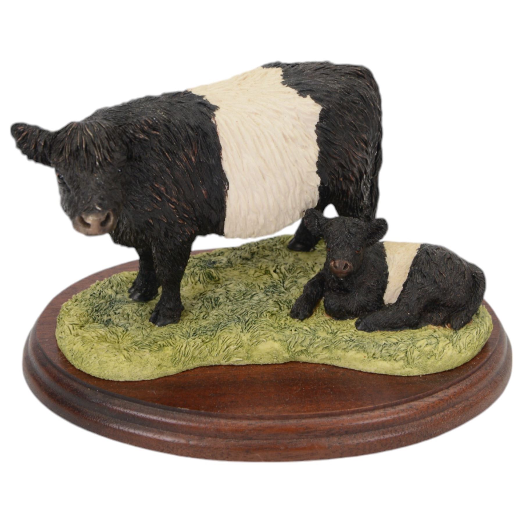 Border Fine Arts Belted Galloway Cow and Calf, on wooden base